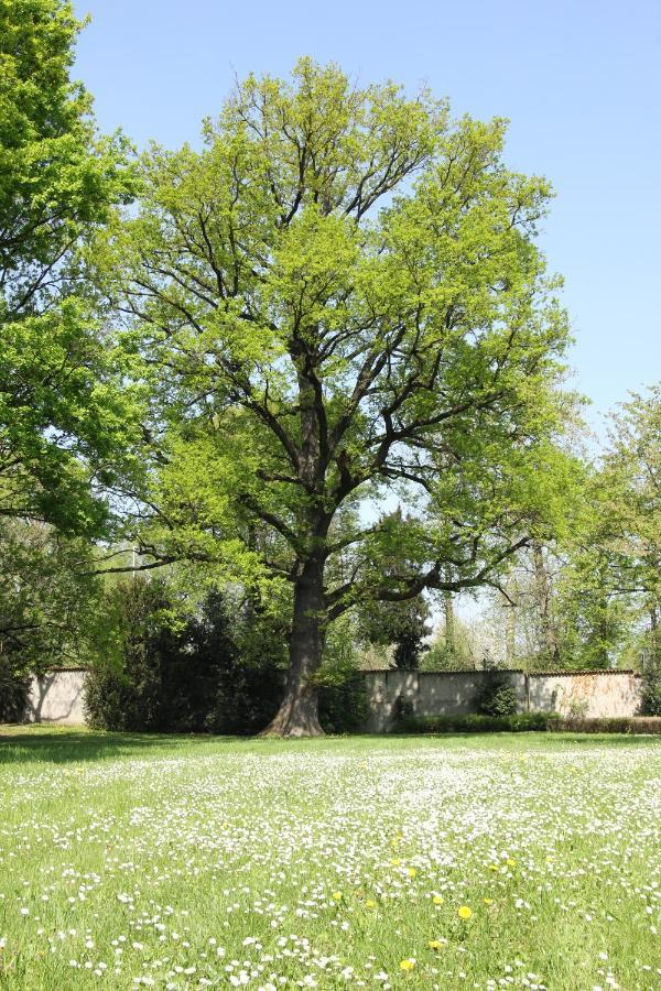 Storica Quercia B&B Nerviano Extérieur photo